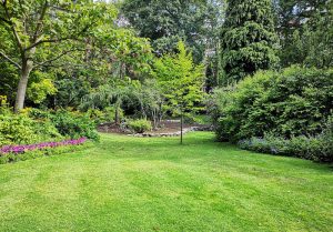 Optimiser l'expérience du jardin à Alles-sur-Dordogne