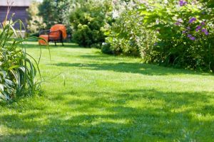 travaux jardin et paysage Alles-sur-Dordogne